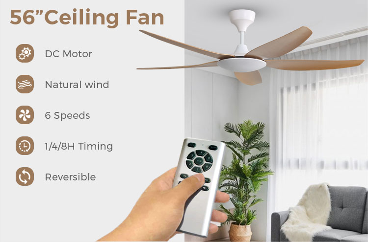 ceiling fan without light