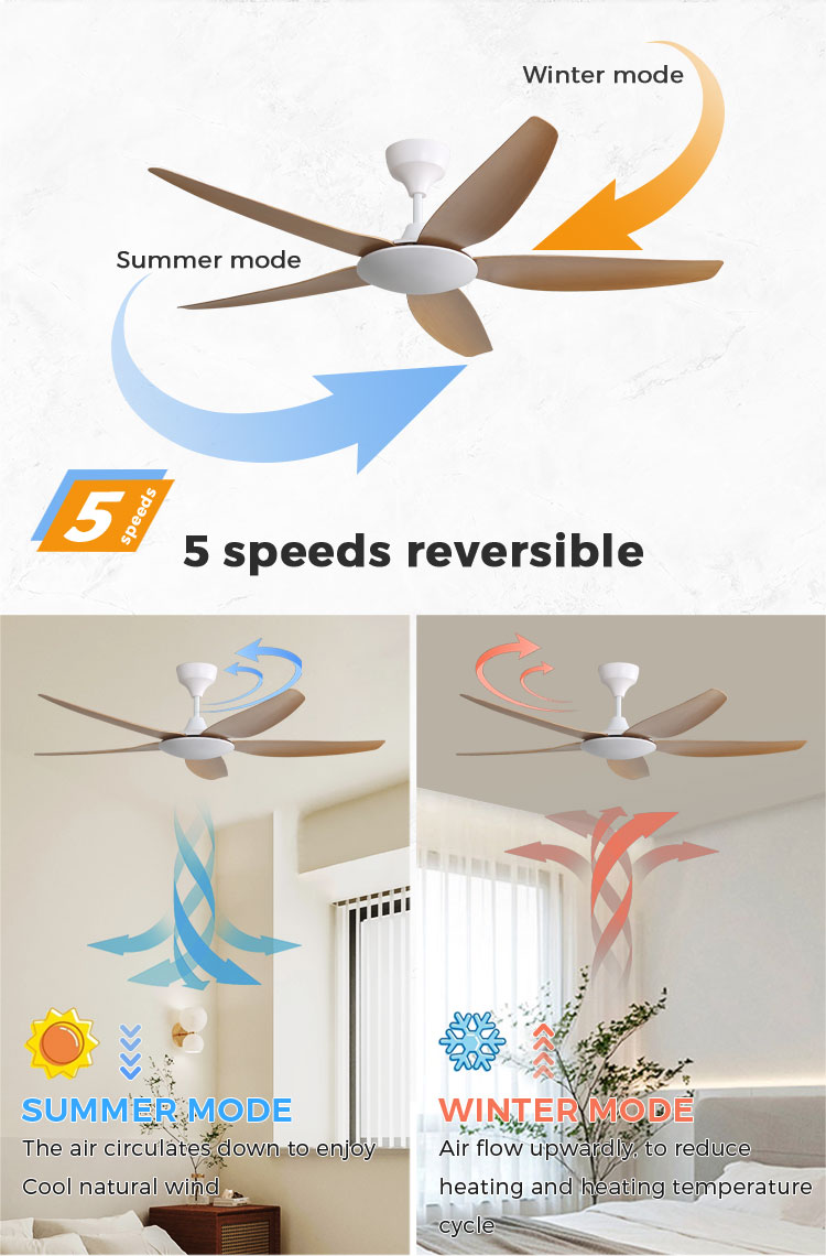 ceiling fan without light