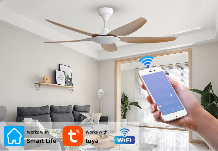 ceiling fan without light
